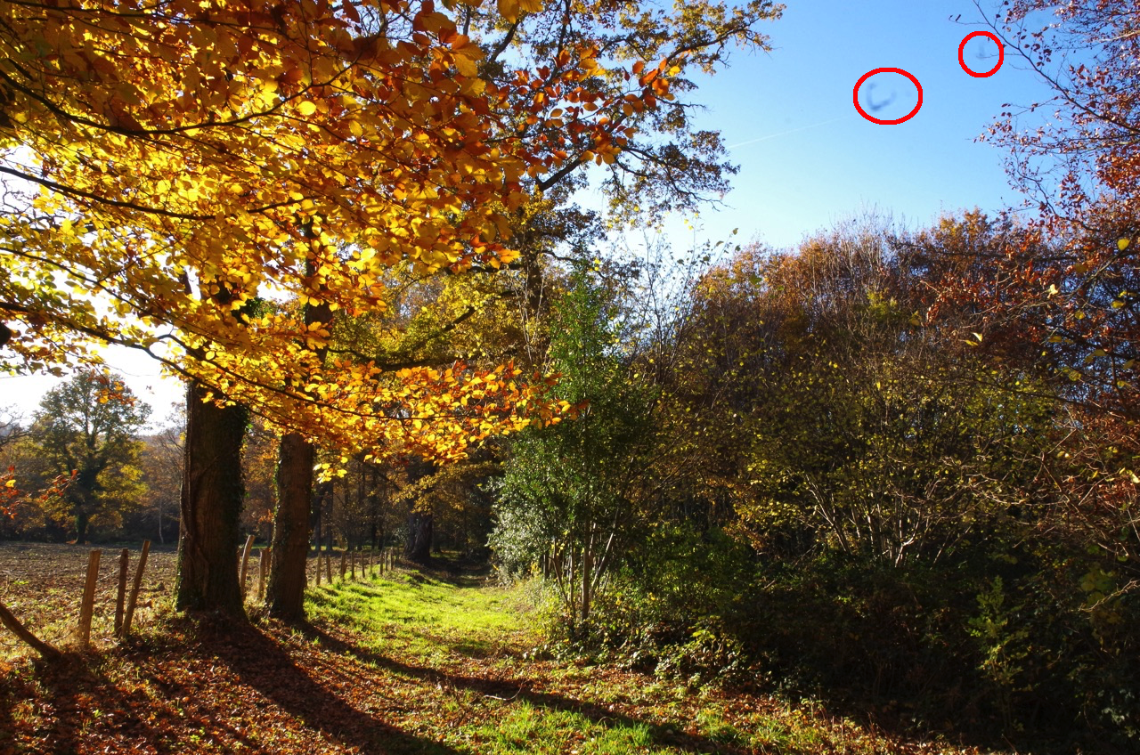 Paysage avec marque poussière