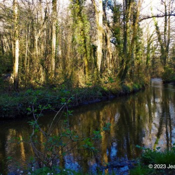 Arbres et cours d' eau sur le chemin d' Uzurat