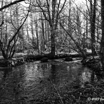 Cours d' eau Uzurat