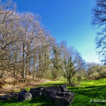 Arbre et rocher