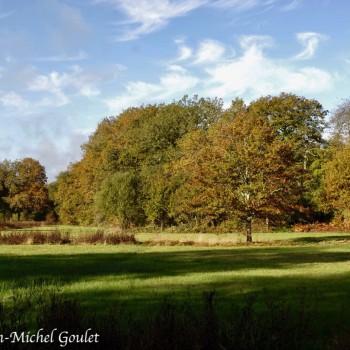 Arbres en automne