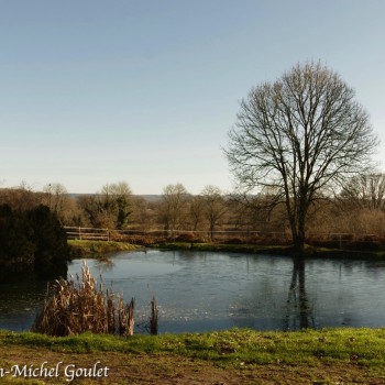 Paysages et eau dormante