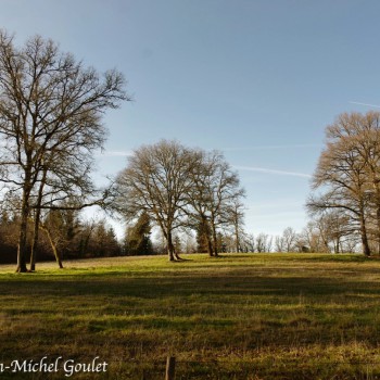 Paysage et arbres