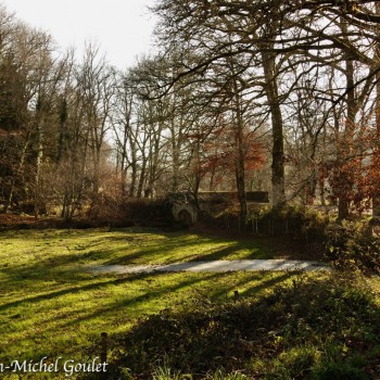 Paysage et arbres