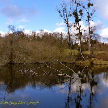 Nature Paysage